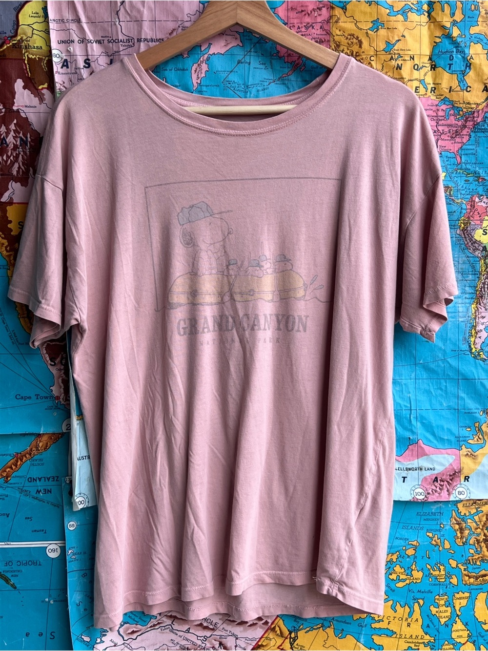 Tailgate Dusty Pink Grand Canyon/Snoopy Graphic Tee